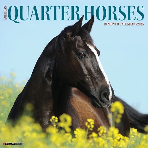 Cover image for American Quarter Horses 2026 12 X 12 Wall Calendar