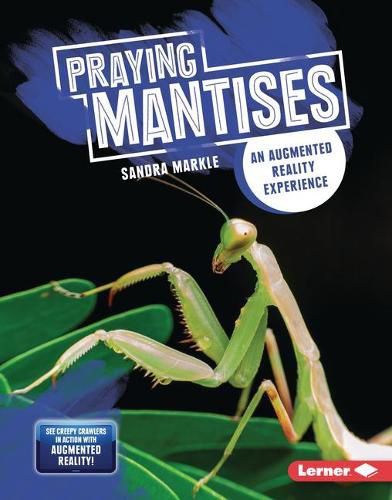 Cover image for Praying Mantises