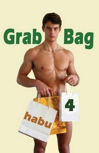 Cover image for Grab Bag 4: A Gay Erotica Anthology