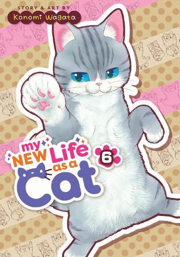 Cover image for My New Life as a Cat Vol. 6