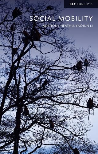 Cover image for Social Mobility