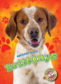 Cover image for Brittanys