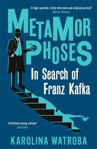 Cover image for Metamorphoses