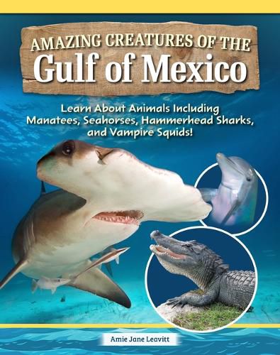 Cover image for Amazing Creatures of the Gulf of Mexico
