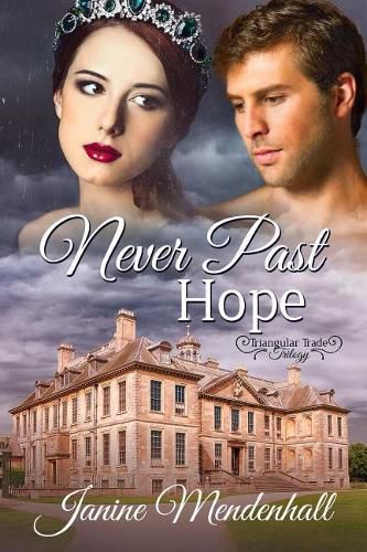 Cover image for Never Past Hope