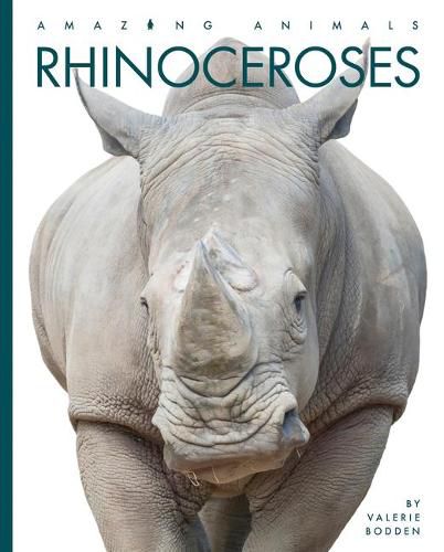 Rhinoceroses