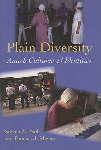 Cover image for Plain Diversity: Amish Cultures and Identities