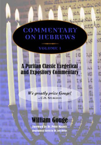 Cover image for Commentary on Hebrews: Exegetical & Expository - Vol. 1 (PB)