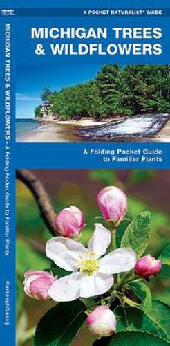 Cover image for Michigan Trees & Wildflowers: A Folding Pocket Guide to Familiar Species