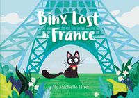 Cover image for Binx Lost in France