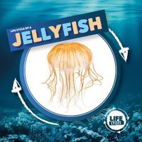 Cover image for Jellyfish