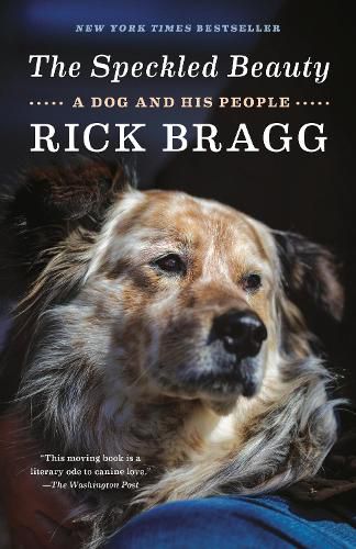 Cover image for The Speckled Beauty: A Dog and His People