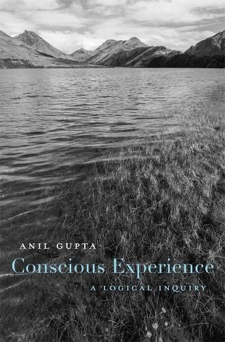 Cover image for Conscious Experience: A Logical Inquiry