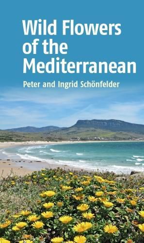 Cover image for Wild Flowers of the Mediterranean