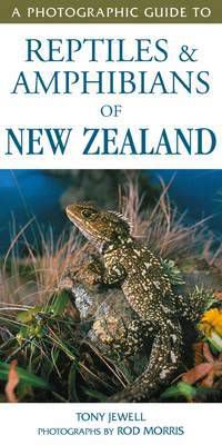 Cover image for Photographic Guide To Reptiles & Amphibians Of New Zealand