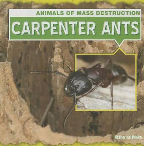 Cover image for Carpenter Ants