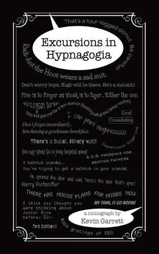 Cover image for Excursions in Hypnagogia