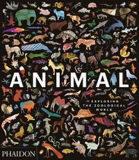 Cover image for Animal: Exploring the Zoological World