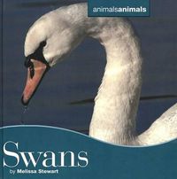 Cover image for Swans