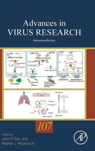 Cover image for Immunopathology