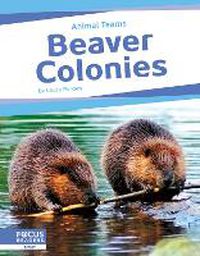 Cover image for Animal Teams: Beaver Colonies
