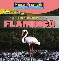 Cover image for The Life Cycle of a Flamingo