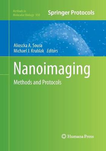 Cover image for Nanoimaging: Methods and Protocols