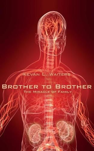 Cover image for Brother to Brother