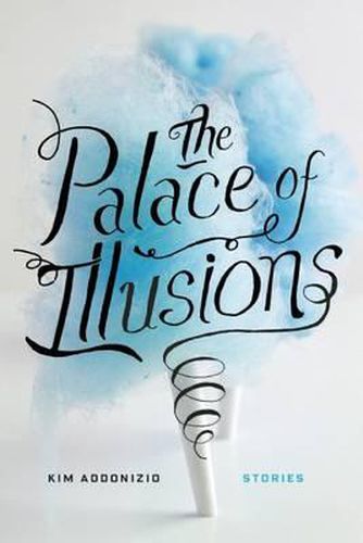 Cover image for The Palace of Illusions: Stories