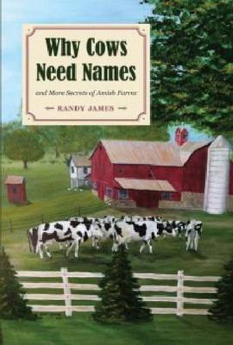 Cover image for Why Cows Need Names And More Secrets of Amish Farms