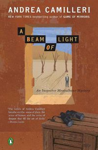Cover image for A Beam of Light