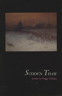 Cover image for Sudden Thaw