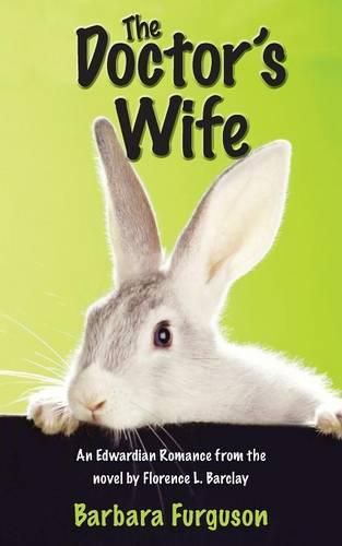 Cover image for The Doctor's Wife