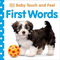 Cover image for Baby Touch and Feel First Words