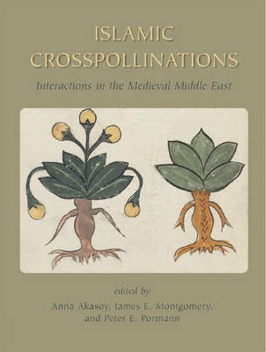 Islamic Crosspollinations: Interactions in the Medieval Middle East