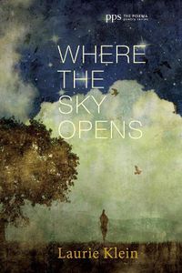 Cover image for Where the Sky Opens: A Partial Cosmography