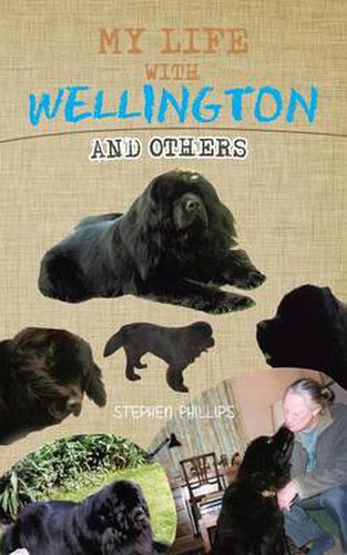 Cover image for My Life with Wellington