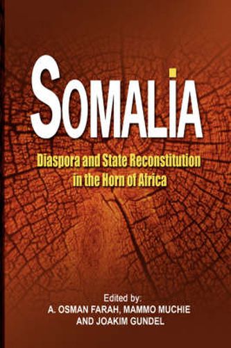 Cover image for Somalia: Diaspora and State Reconstitution in the Horn of Africa