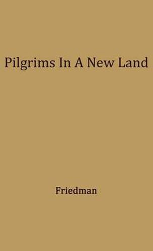 Cover image for Pilgrims in a New Land.