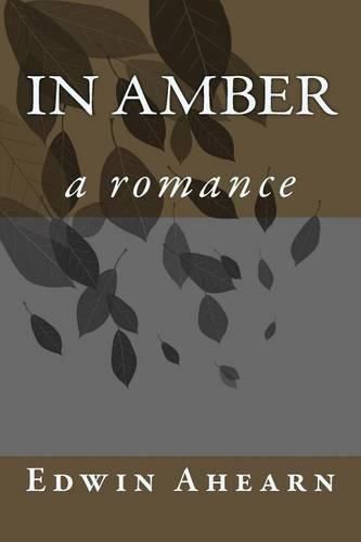 Cover image for In Amber: a romance