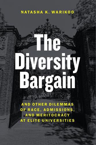 Cover image for The Diversity Bargain: And Other Dilemmas of Race, Admissions, and Meritocracy at Elite Universities