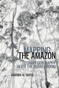 Cover image for Mapping the Amazon