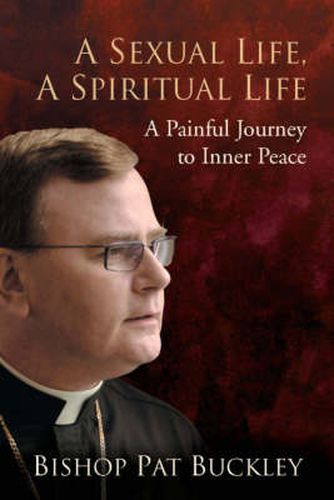 Cover image for A Sexual Life, a Spiritual Life: A Painful Journey to Inner Peace