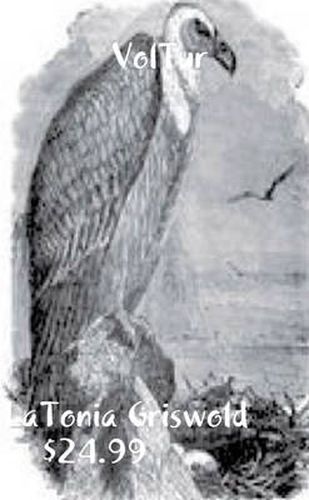 Cover image for Voltur