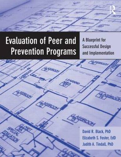 Cover image for Evaluation of Peer and Prevention Programs: A Blueprint for Successful Design and Implementation