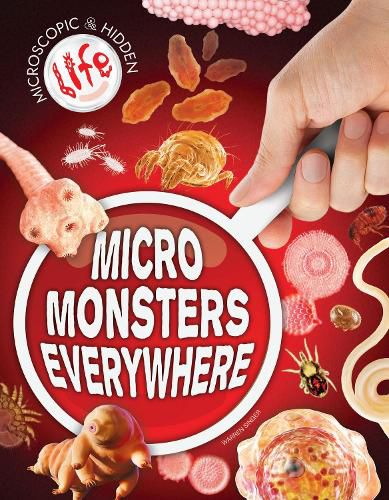 Cover image for Micro Monsters Everywhere!
