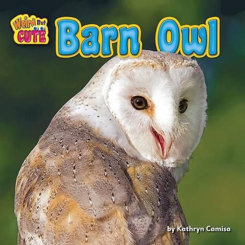 Cover image for Barn Owl