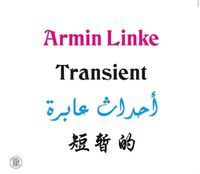 Cover image for Armin Linke: Transient