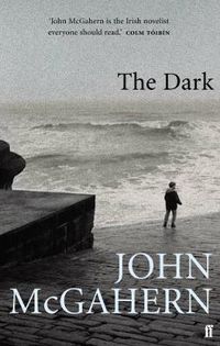 Cover image for The Dark