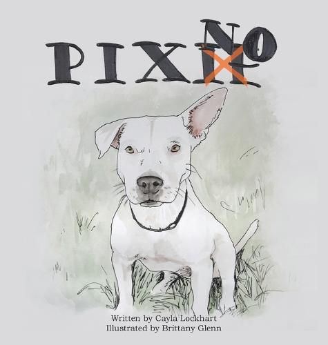 Cover image for Pixno!